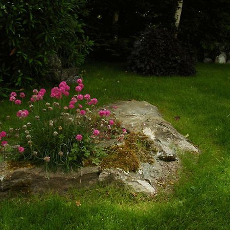 ホテル Kenmare House エクステリア 写真