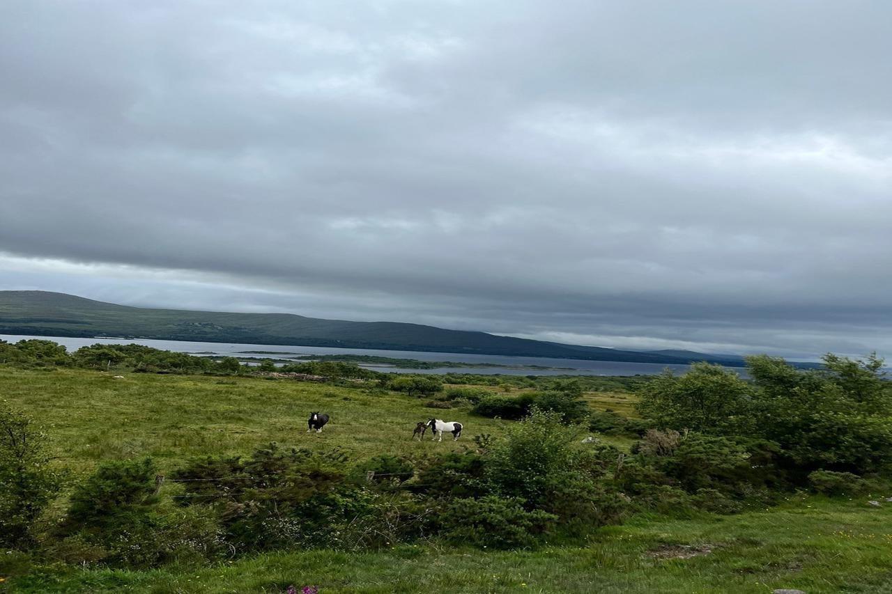 ホテル Kenmare House エクステリア 写真